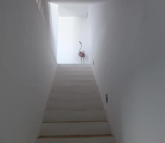Flamingo House *
